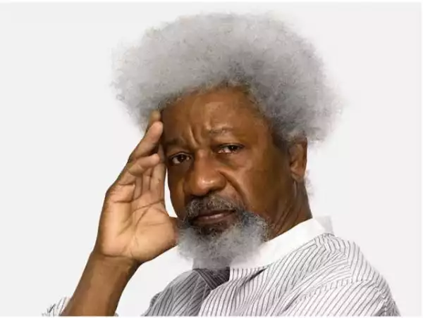 I discussed national matters with Buhari, says Soyinka